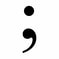 Semicolon punctuation mark